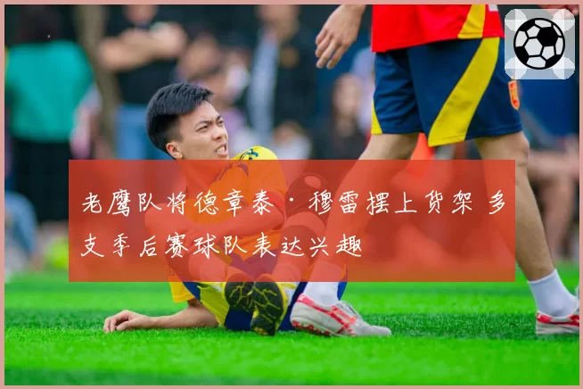 老鹰队将德章泰·穆雷摆上货架 多支季后赛球队表达兴趣