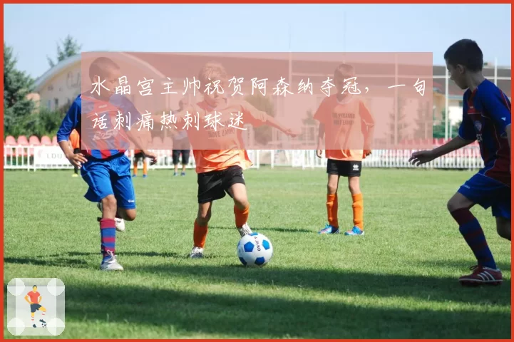 水晶宫主帅祝贺阿森纳夺冠，一句话刺痛热刺球迷