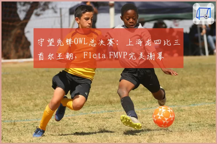 守望先锋OWL总决赛:上海龙四比三首尔王朝,Fleta FMVP完美谢幕